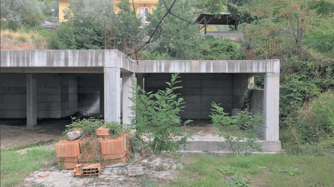 Immagine video