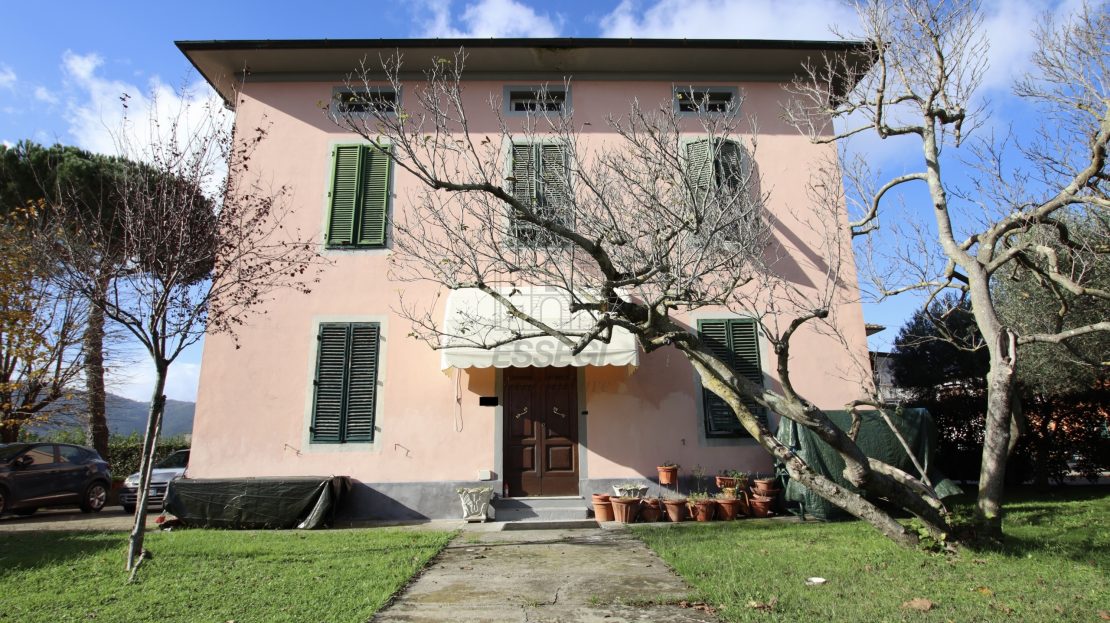 Immagine video