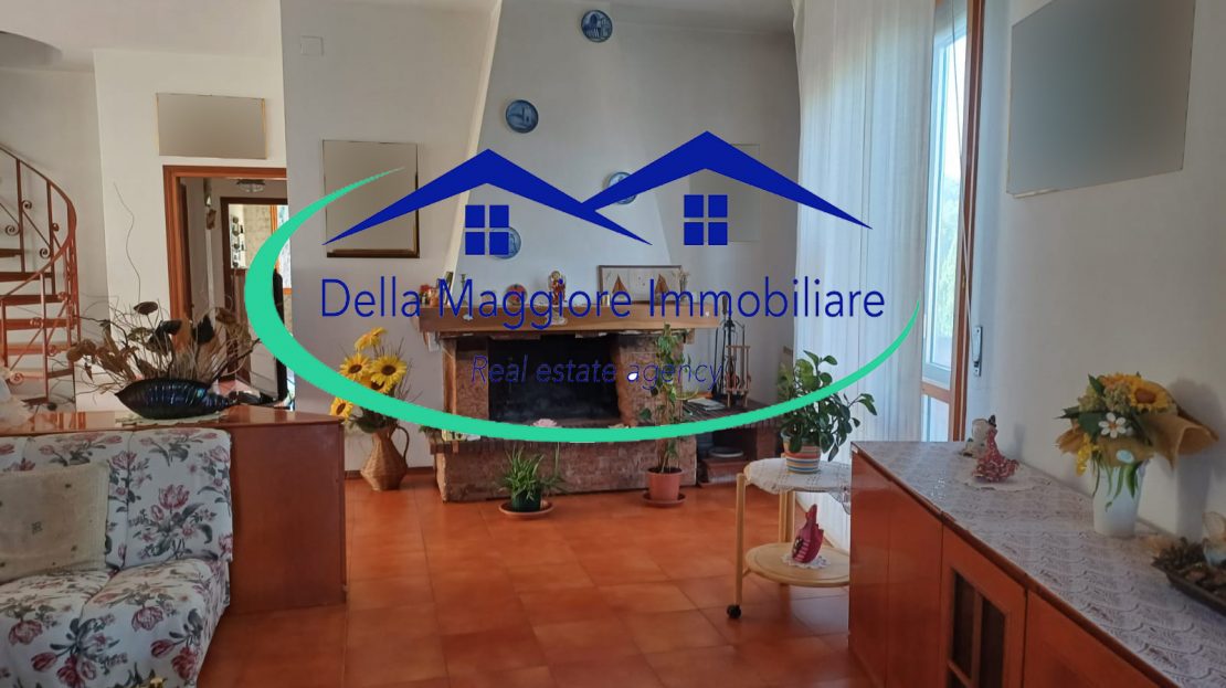 Immagine video
