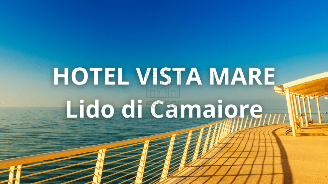 Immagine video