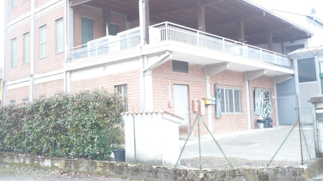 Immagine video