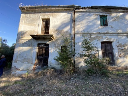 Immagine video