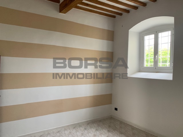 Immagine video