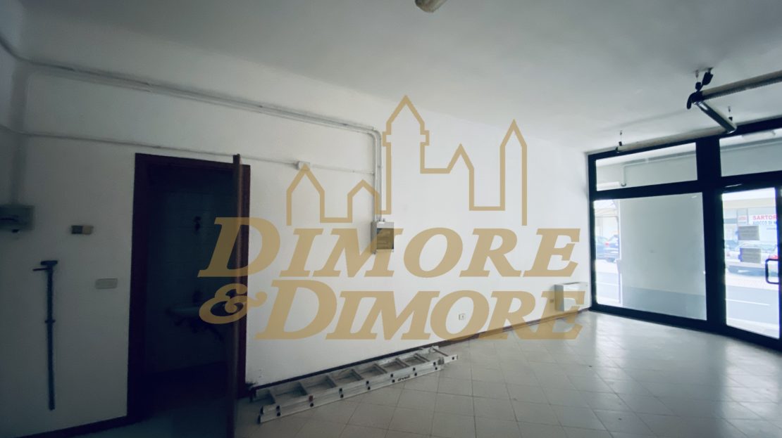 Immagine video
