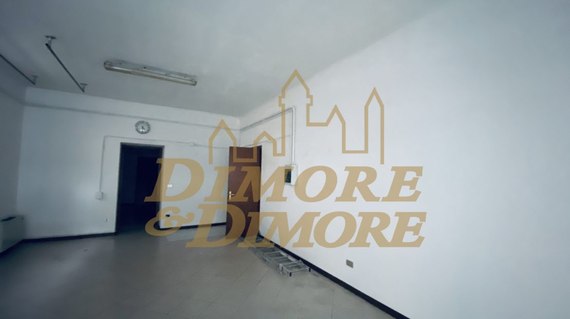 Immagine video