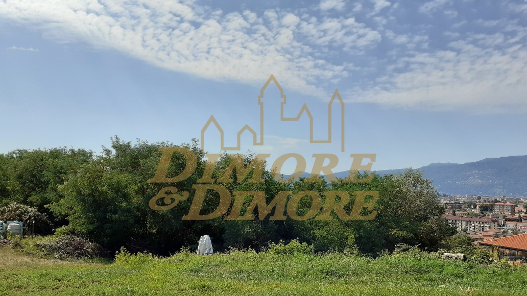 Immagine video