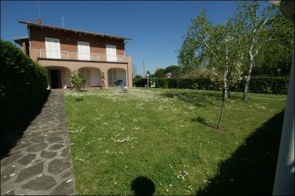 Immagine video