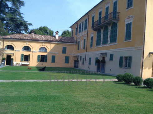 Immagine video