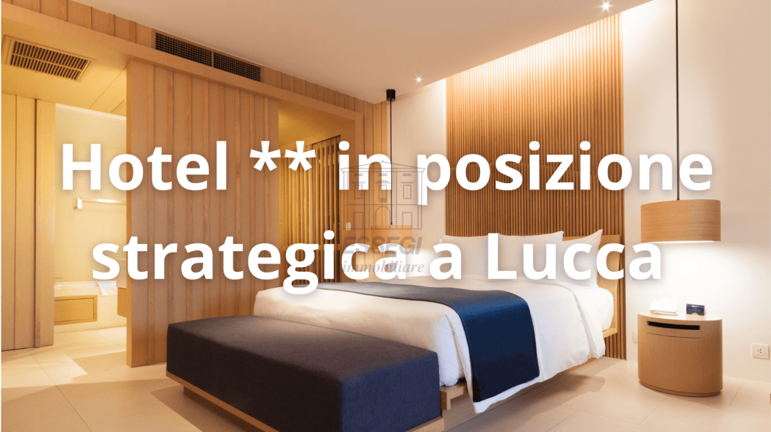 Immagine video