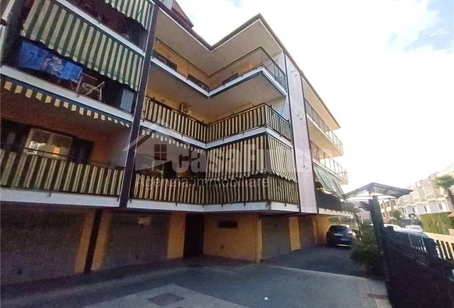 Immagine video