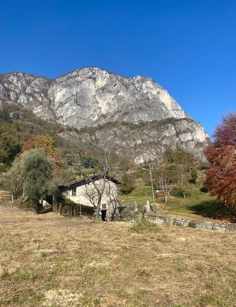 Immagine video