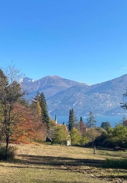 Immagine video