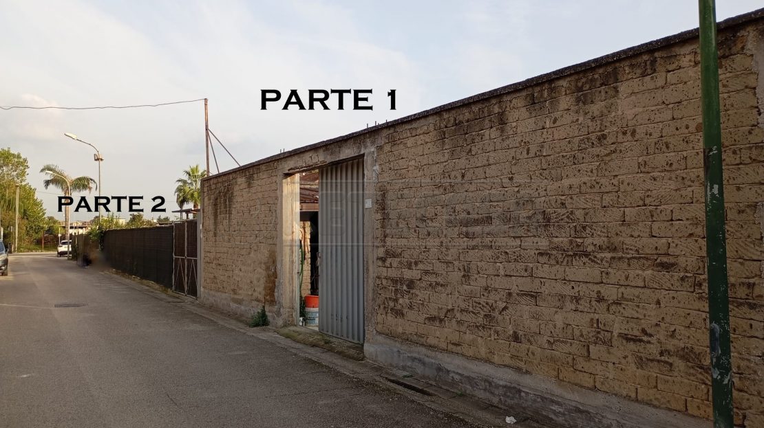 Immagine video