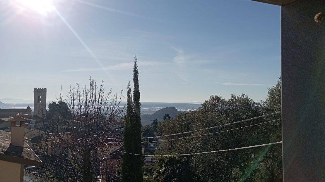 Immagine video