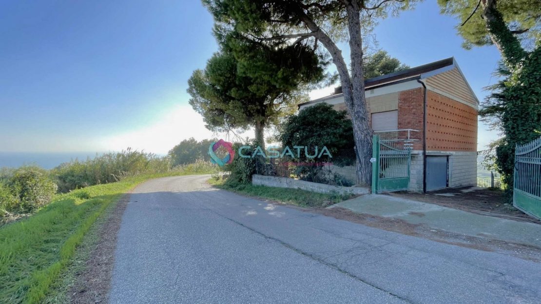 Immagine video
