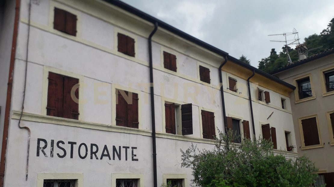Immagine video