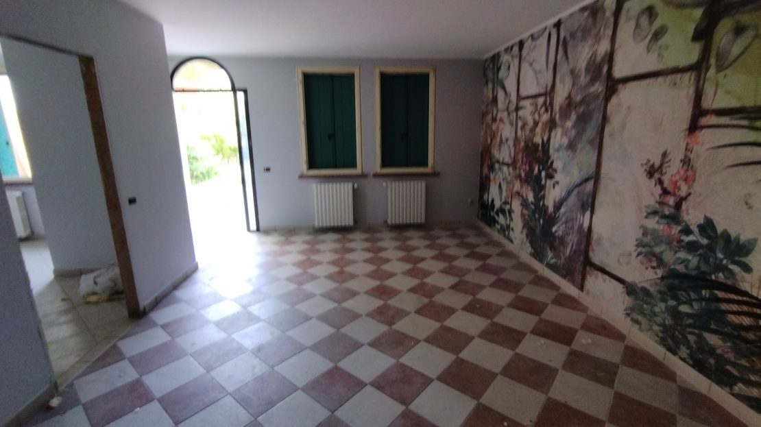 Immagine video