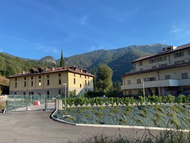 Immagine video