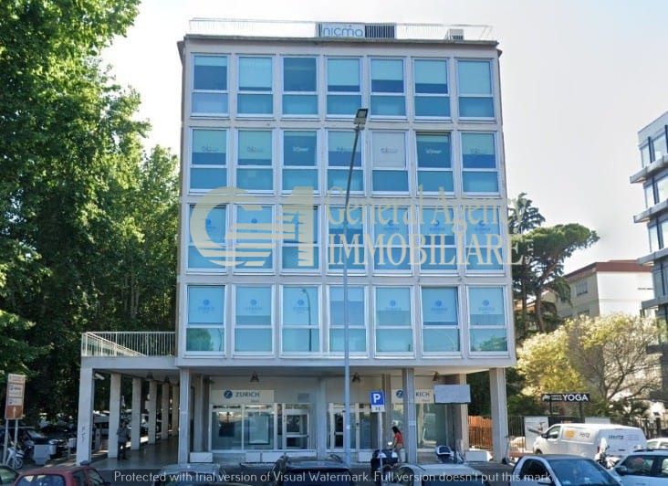 Immagine video