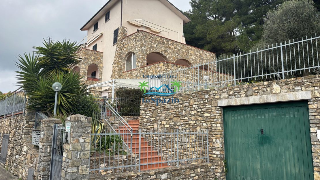 Immagine video