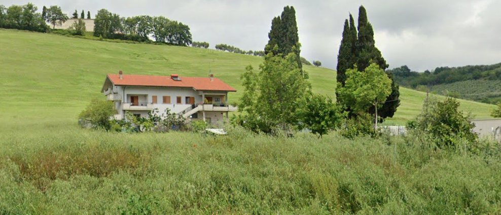 Immagine video