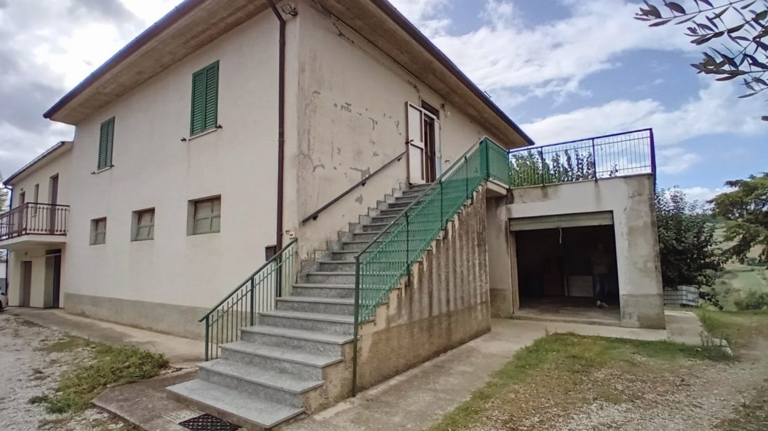 Immagine video