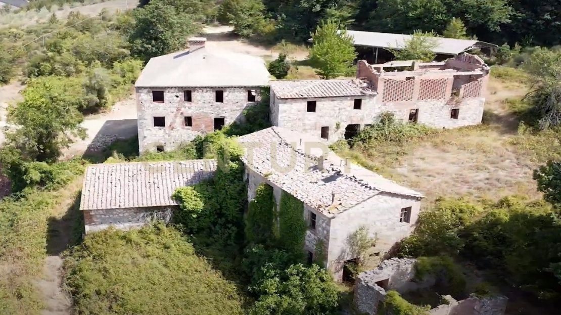 Immagine video
