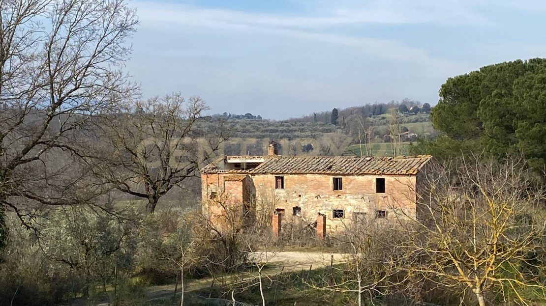 Immagine video