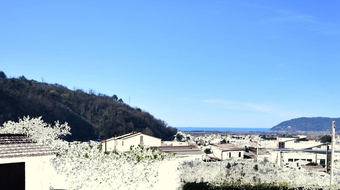 Immagine video