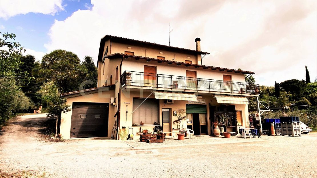 Immagine video
