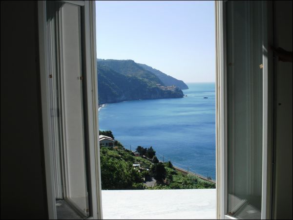 Immagine video