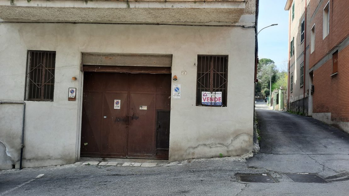 Immagine video