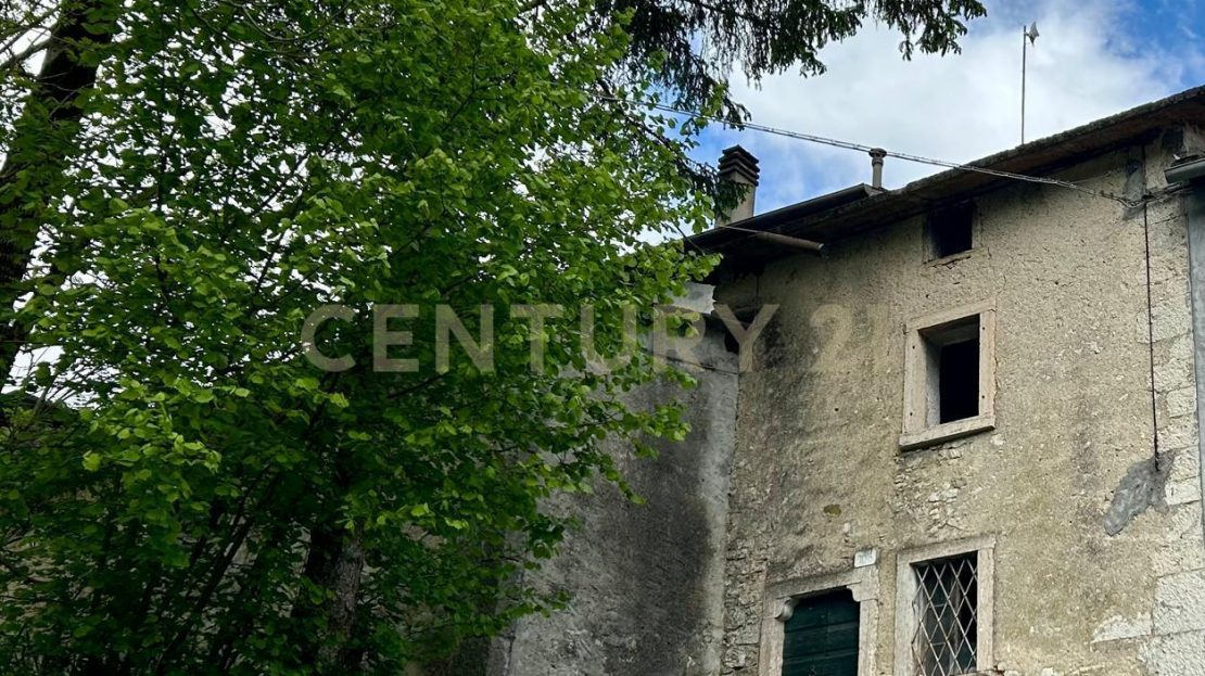 Immagine video