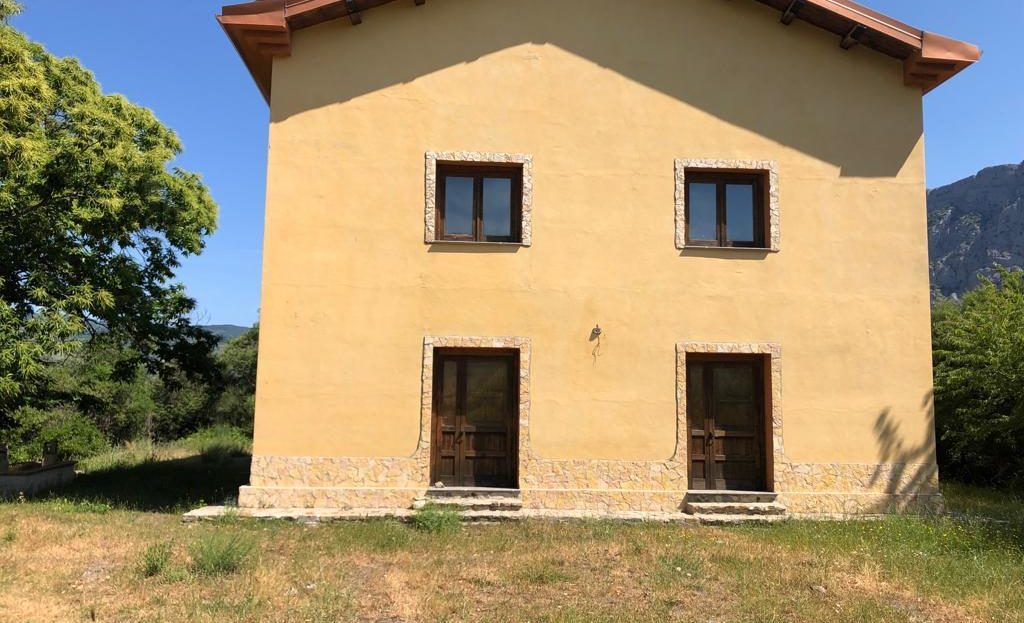 Immagine video