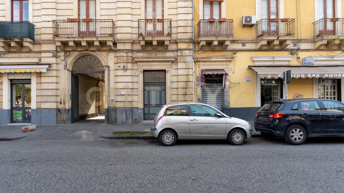 Immagine video