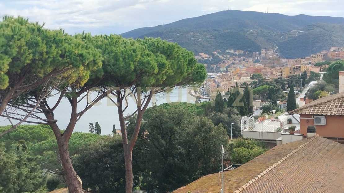Immagine video