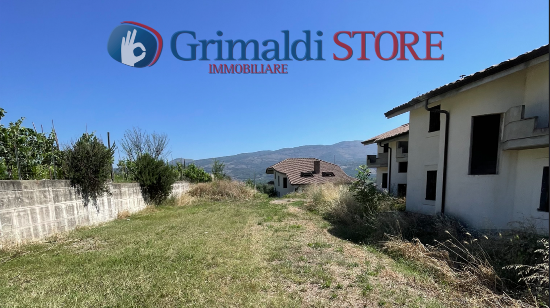 Immagine video