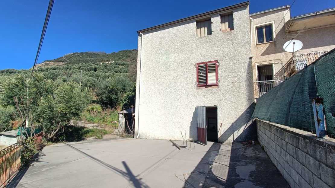 Immagine video