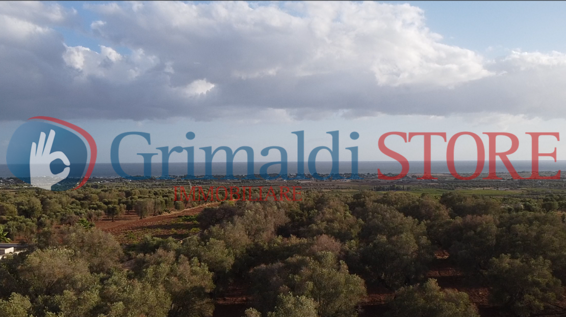 Immagine video