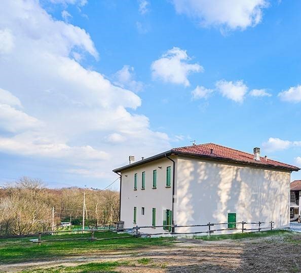 Immagine video