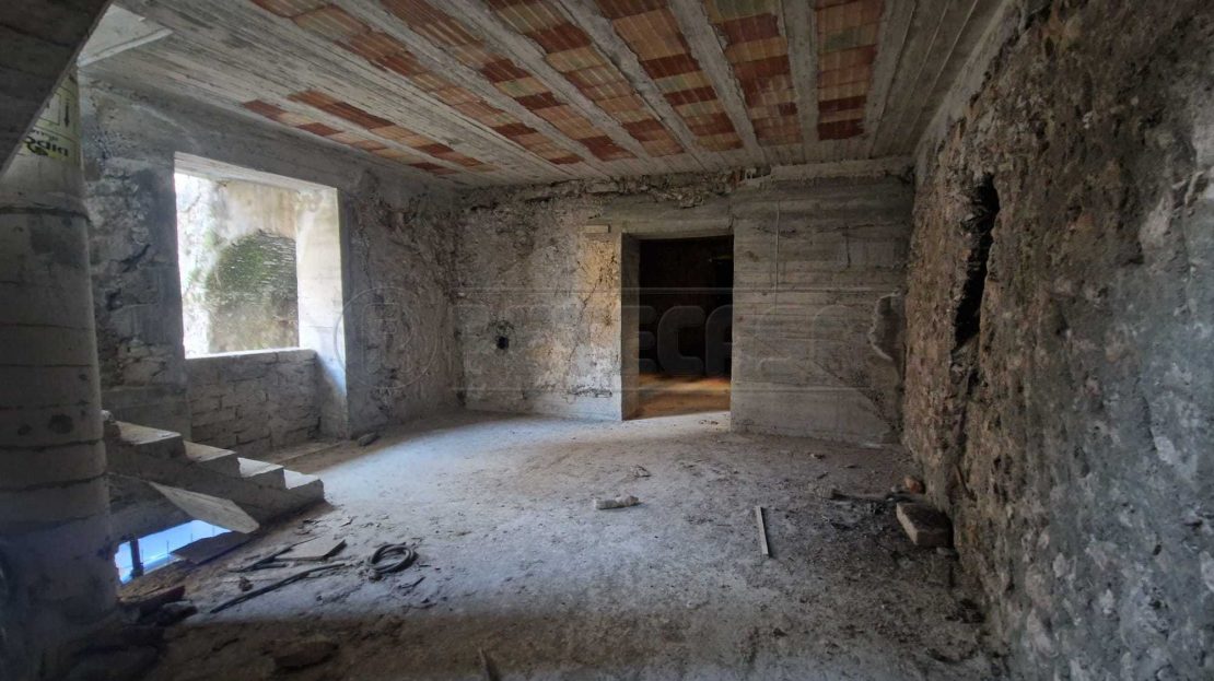 Immagine video