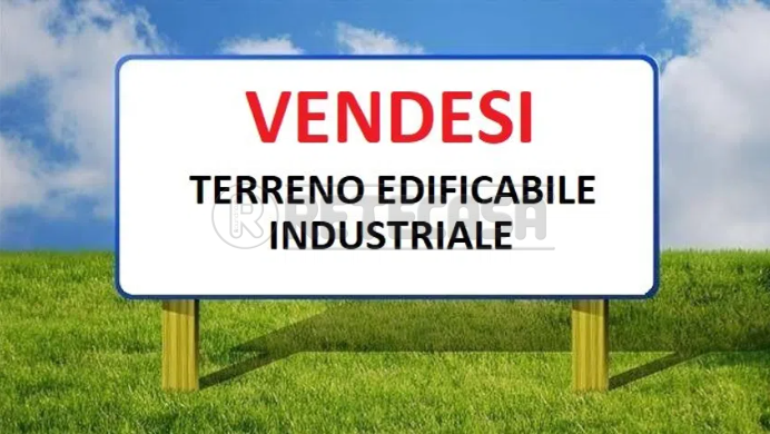 Immagine video
