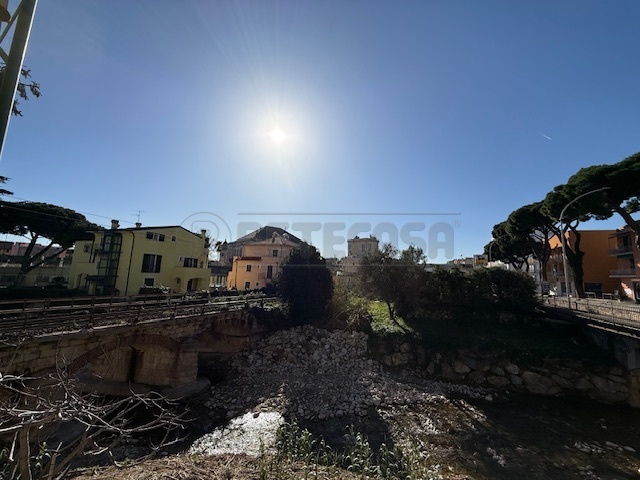 Immagine video