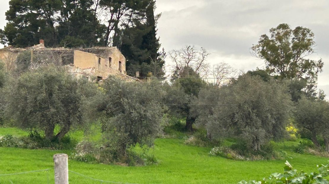 Immagine video