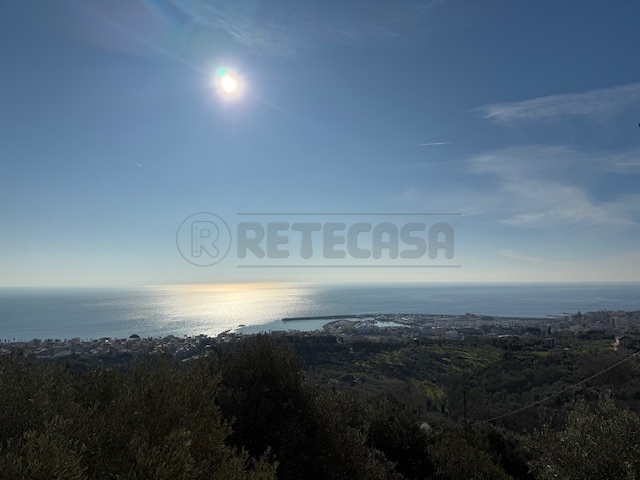 Immagine video