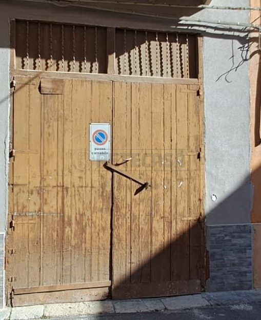 Immagine video