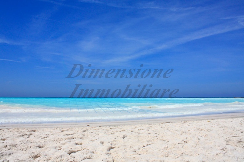 Immagine video