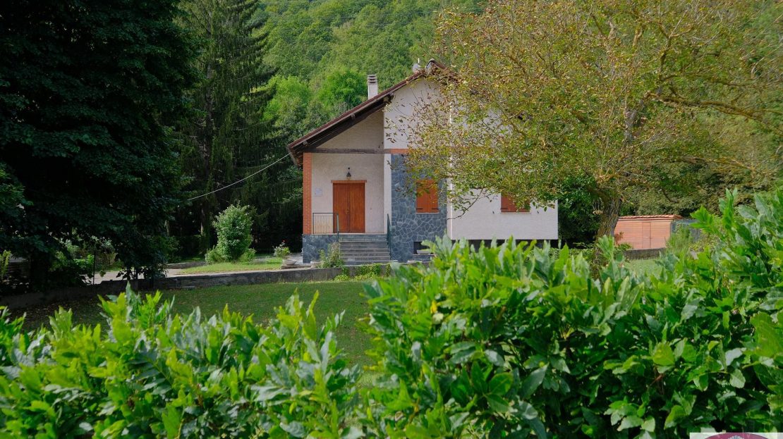 Immagine video