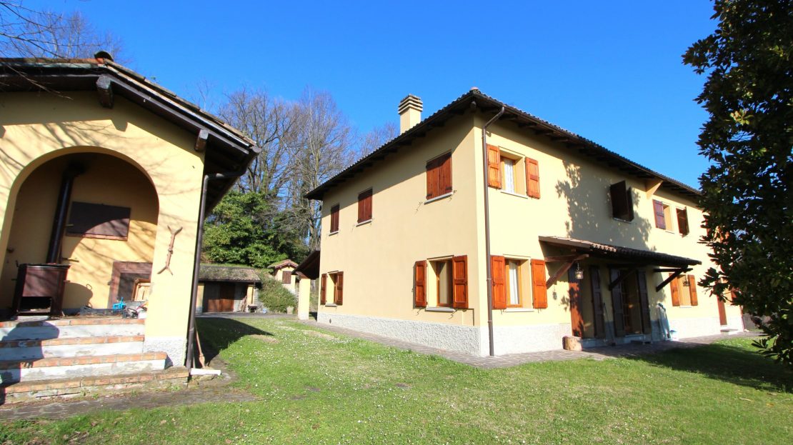 Immagine video