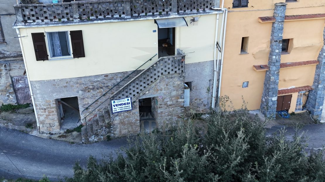Immagine video